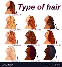 hair types chart displaying all types and labeled