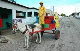 Resultado de imagem para foto da reciclagem em carnaubais