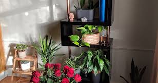 Elevate your house by installing a corner window. Interior Design Renovating My Terraced House In Ireland Energya