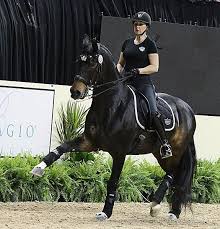 In a recent post, the british rider paid tribute to the humble snaffle and how it features into her training regime. Valegro Feels Great Ready To Defend World Cup Title Charlotte Dujardin Show Jumping Horses Funny Horses Dressage