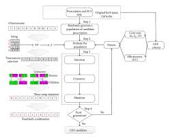 Application Of Genetic Algorithm For Discovery Of Core