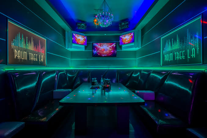 Bottle Service & Packages – PalmTree Karaoke