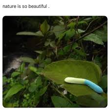 All - 😂 😂 | Facebook