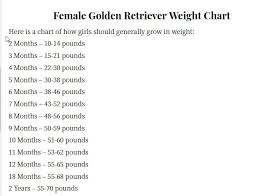 Maybe you would like to learn more about one of these? Puppy Weight Adult Weight Golden Retriever Dog Forums