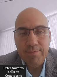 Trump nombra a Peter Navarro: ¿Mejoras para Puerto Rico?