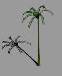 This palm is a tree everyone should want in there landscape. Foxtail Palm Tree 3d Max Model For 3d Studio Max Designs Cad
