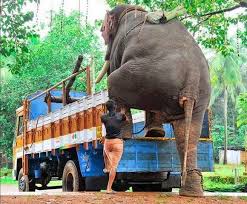 Image result for kerala images