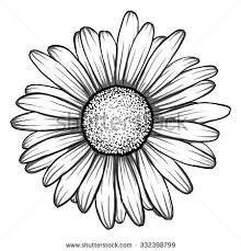 Black And White Daisy Flower Clipart Beautiful Monochrome Black And White Daisy Flower Isolated For Greeting Cards And Invitations Of The Wedding Birthday Valentine S Day Daisy Drawing Daisy Flower Drawing Daisy Flower Tattoos
