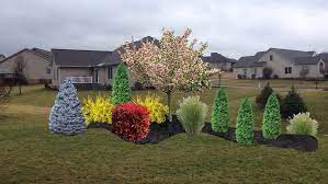 This plant is an invasive species in eastern north america. Pin On Cabin Ideas