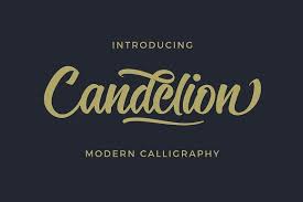 Candelion Script Bold Script Font Lettering Creative Fonts