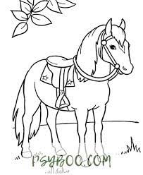 Farm animal coloring pages horse coloring pages color coloring pages colouring pages animal coloring pages colorful pictures free coloring pages. Free Connemara Pony Coloring Page Horse Coloring Books