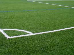 Whether its football, soccer, baseball, rugby or any other sport, fieldturf fields provide athletes with the safety and performance they need to perform at their best, while giving field owners the durability they want to maximize the value of their investment. A History Of Synthetic Grass