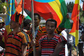 .southern nations, nationalities, and peoples region, forming their own autonomous region 3. In Southern Ethiopia Trouble Brews In Sidama United States Institute Of Peace