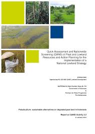 What does ladang mean in english? Pdf Paludiculture Sustainable Alternatives On Degraded Peat Land In Indonesia Qans Report On Activity 3 3