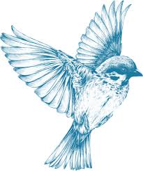 Bird With Wings Spread Images Graphics Of Vintage Blue Bird With Wings Wide Spread Public Domain Vectors With Images Bird Drawings Sparrow Tattoo