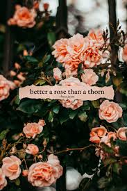 Thorne, and john archibald wheeler.it was originally published by w. Better A Rose Than A Thorn Quote Girly Quotes Quote Aesthetic Instagram Quotes