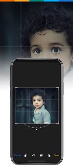 Choose the photo you want to crop. Photo Cropping Tool Crop A Photo Online