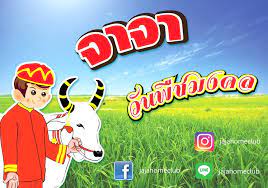 วันพืชมงคล เป็นวันที่ ประกอบพระราชพิธี 2 พระราชพิธีเข้าด้วยกัน คือ Jaja Home Club à¸§ à¸™à¸ž à¸Šà¸¡à¸‡à¸„à¸¥ à¸«à¸¡à¸²à¸¢à¸– à¸‡ Facebook