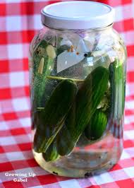 How do you make kosher pickles? Fermented Pickles Growing Up Gabel