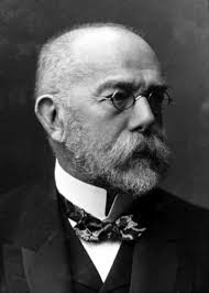 Cazadores de microbios