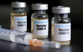 November sinovac publishes the details of its phase 1/2 trial in a medical journal. Egypt Receives Materials Needed To Produce 2 Mn Doses Of Sinovac Vaccine Egypt Independent