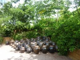 Le Jardin Coreen Pres Du Goualoup Chaumont Sur Loire C Sandrine Tellier Jardin De Chaumont Jardins Loire