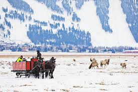 See pricing and listing details of jackson hole real estate for sale. 11 Unforgettable Things To Do In Jackson Hole Wyoming In The Winter