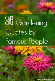 The home gardener is part scientist, part artist, part philosopher, part plowman. Garden Quotes Best Gardening Quotes By Famous People Install It Direct