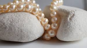 Nor cast your pearls before swine, lest they trample them under their feet, and turn and tear you in pieces.. What Does Pearls Before Swine Mean Your Questions Honest Answers Youtube