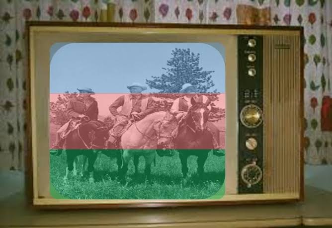 Three color plastic sheet to make you think your black and white TV is really color.