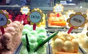 Cactus Ice Cream Is Actually Amazing Fenocchio Nice Fenocchio Best Ice Cream Ice Cream Place