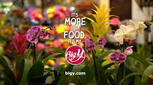 A wide variety of greenfield co flowers options are available to you, such as material, commercial buyer, and room space. Big Y Floral Department Florist Flowers Balloons Big Y