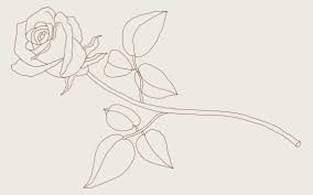 You can edit any of drawings via our online image editor before downloading. How To Draw A Rose A Step By Step Guide 2020 Updated Thought Catalog