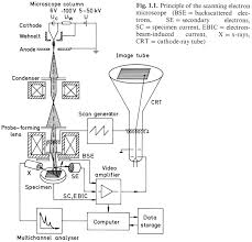 +300v) to enhance the collection of. 2