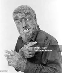 22 Wolfman 1941 Stock Photos, High-Res Pictures, and Images - Getty Images