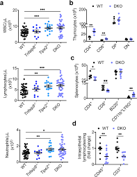 Daftar tipe pelanggan yang anda buat akan diperlukan pada saat pembuatan daftar pelanggan. The Tipe Molecular Pilot That Directs Lymphocyte Migration In Health And Inflammation Scientific Reports