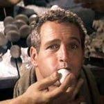 The New Benjamin Craftsman Line: Akela, Cayden, Kratos