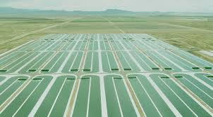 Malaysia, selangor, taman greenwood, green house ingredient sdn bhd lot 5066, jalan 18/64, taman sri serdang. Algae Cultivator Qualitas Health Dba Iwi Closes First Round Of New Investment