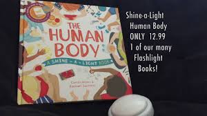 The Usborne Bookshelf Shine A Light Human Body Youtube