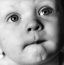 37th Annual Meeting of the AANS/CNS Section