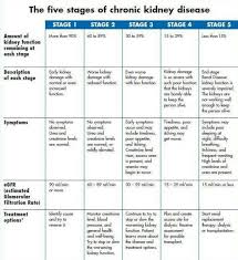 causes of renal dysfunction kidney health chronic kidney