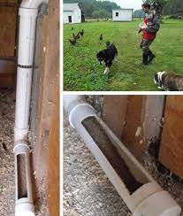 Best Do It Yourself Automatic Chicken Feeder Chicken Feeders Automatic Chicken Feeder Chicken Diy