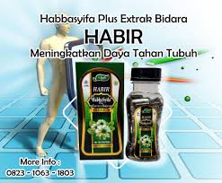 Khasiat Habir Hari Hujan Minuman Tips