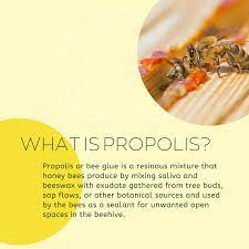 Bees Neez Apiaries - Home | Facebook