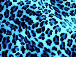 Jun 02, 2017 · please comment what you think about this profile backgrounds, if you have some good cheap background just tell me in the comments section. 47 Blue Cheetah Wallpaper On Wallpapersafari