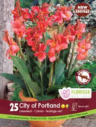 You'll love the feathery and feathery foliage that adds texture to your garden. Living Coral In The Garden Pantone S Colour Of 2019florissa Flowers Roses Fruits And Veggies