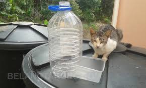 Tapi makanan berlebih ini biasanya mengandung cukup karbohidrat dan sedikit protein. Cara Buat Bekas Makanan Kucing Automatik D I Y Some Bullet For Your Head