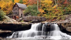 Most Beautiful Nature Wallpapers On Wallpaperdog Images & pictures of nature wallpaper download 770 photos 720x1280.