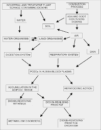 Pure dioxin looks like white crystalline needles. Circulation Of Dioxins In Food Chain 83 Download Scientific Diagram