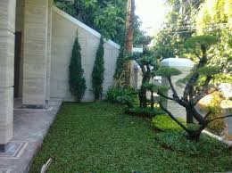 Rumput ini bisa hidup ditanah maupun dipasir. Facebook